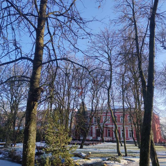 Iliustracija