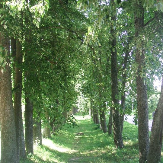 Iliustracija