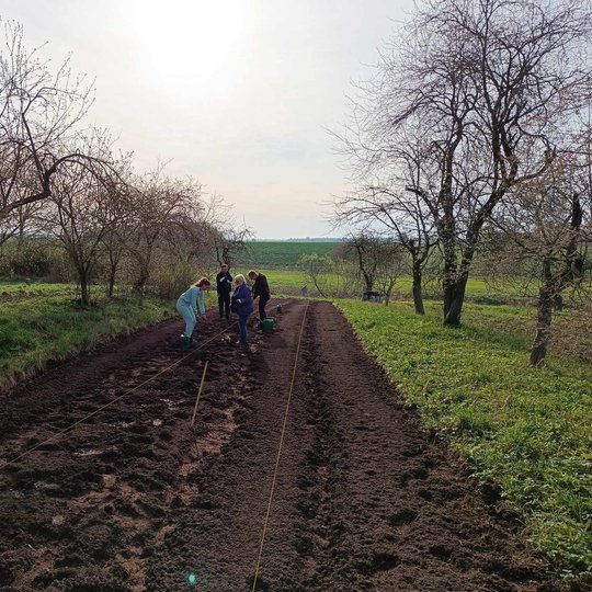 Iliustracija