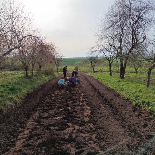 Iliustracija