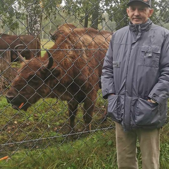 Iliustracija