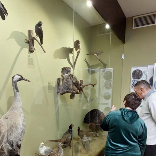 Iliustracija