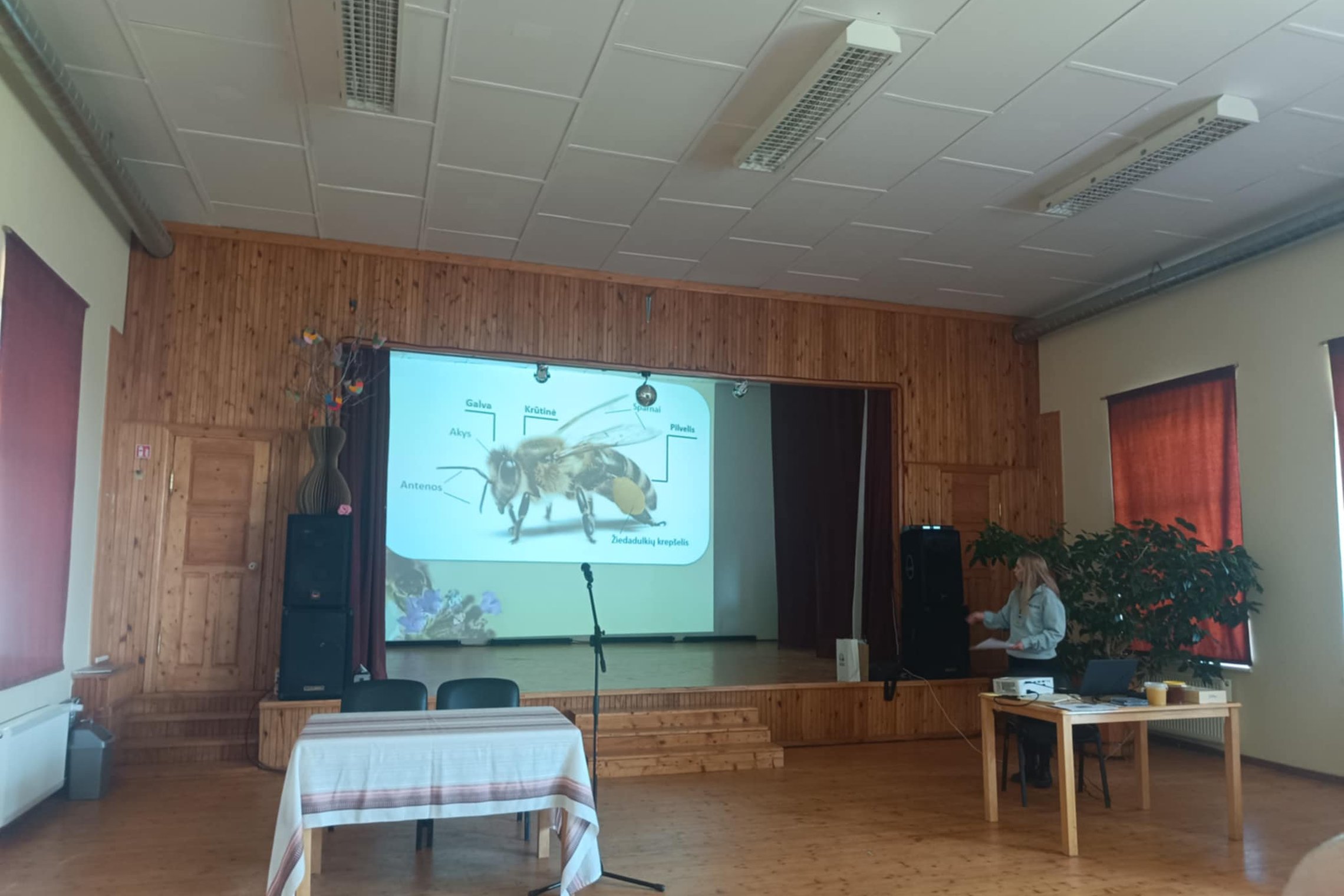 Iliustracija