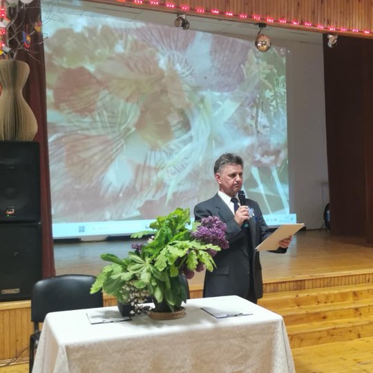 Iliustracija