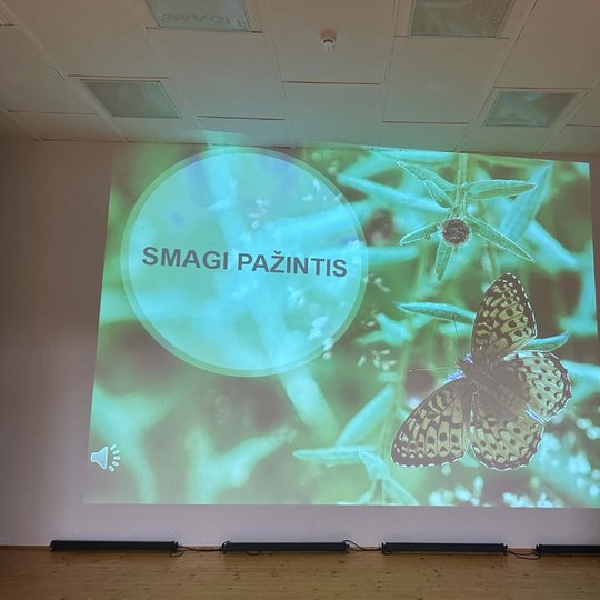 Iliustracija