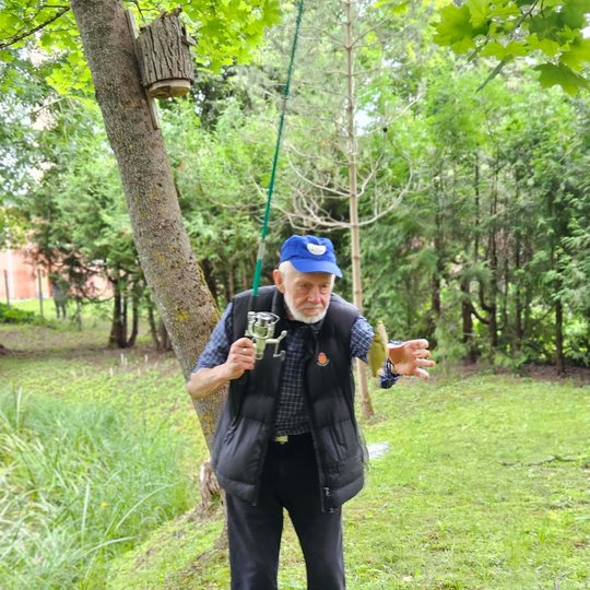 Iliustracija