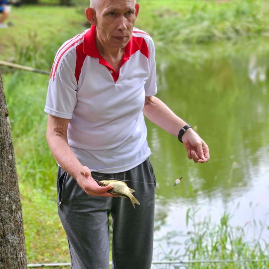 Iliustracija
